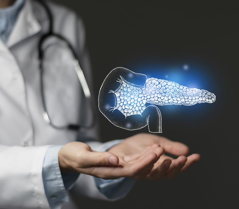 pancreas