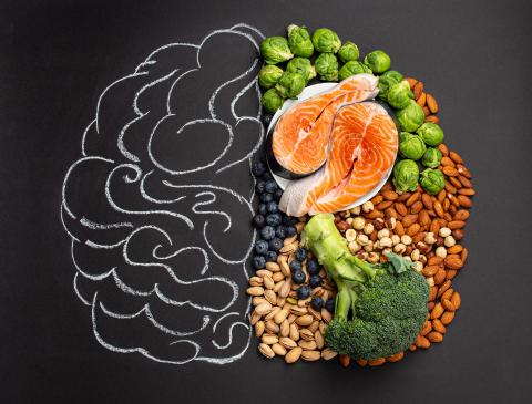 voeding en hersenen