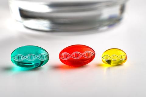 anti-aging; vitamine D; polyfenolen