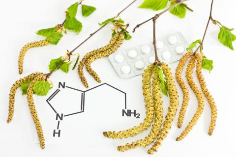 histamine; intolerantie; probiotica