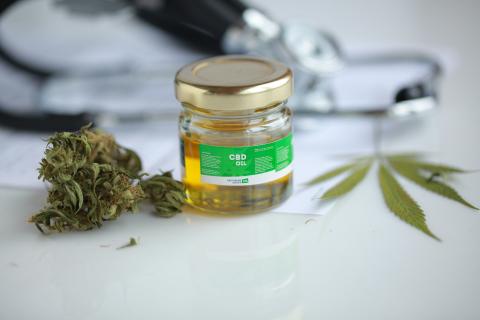 cannabis; cbd