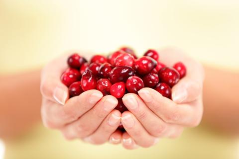 veenbessen; cranberry; hart; bloedvaten