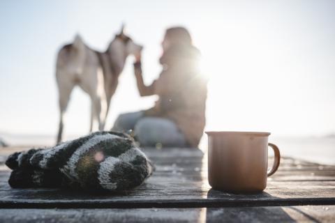 honden; botkanker