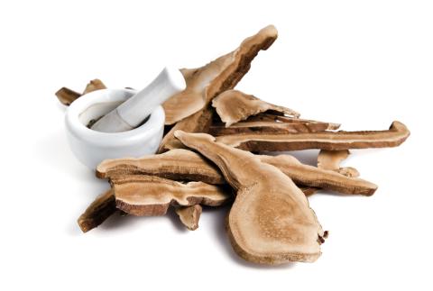 reishi; kanker; prostaatkanker