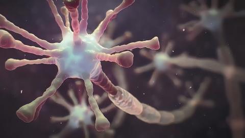 chemotherapie; zenuwschade; neuropathie