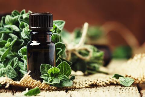 oregano; infectie