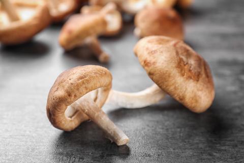 paddenstoelen; bètaglucanen; immuniteit