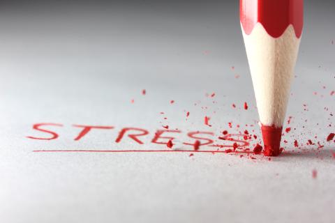 stress; omega-3