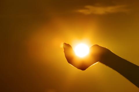 vitamine D; zonlicht; auto-immuunziekte