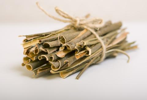 wilgenbast; salix alba; ontstekingsremmer